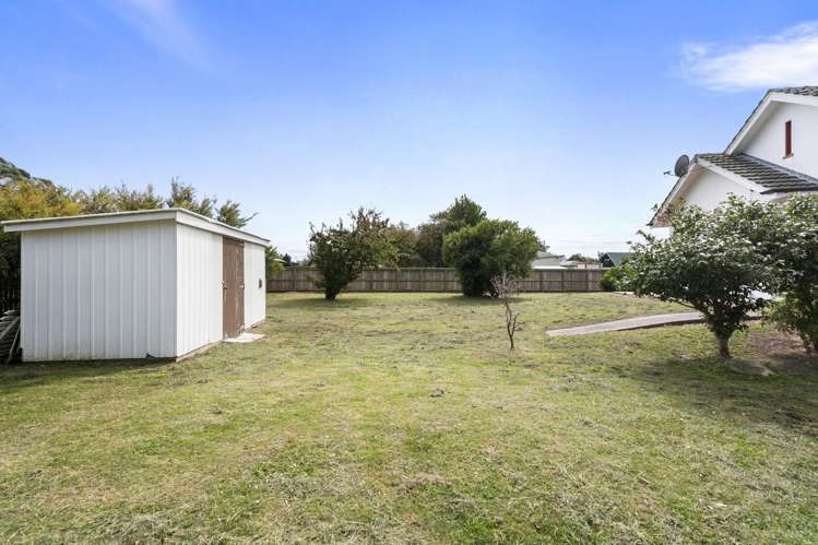 33 Daniell Street Bulls_29