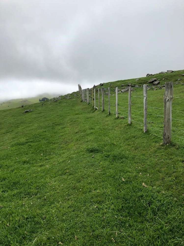 4990 Christchurch Akaroa Road Little River_14