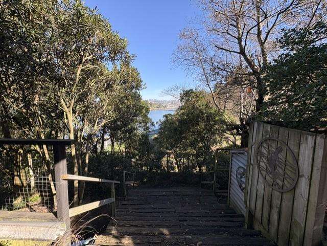 12 Larnach Road Waverley_2