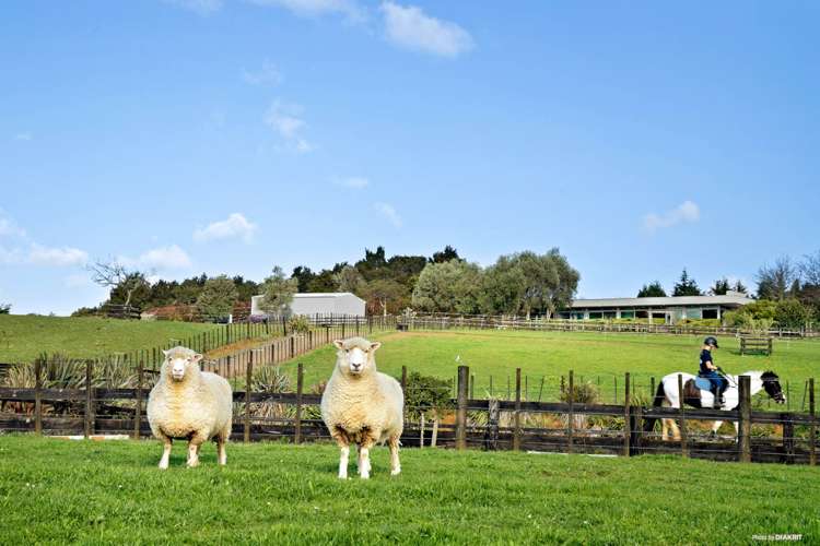 112 Dunrobin Lane Ararimu_21