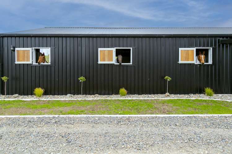 315 Oruanui Road Wairakei_17