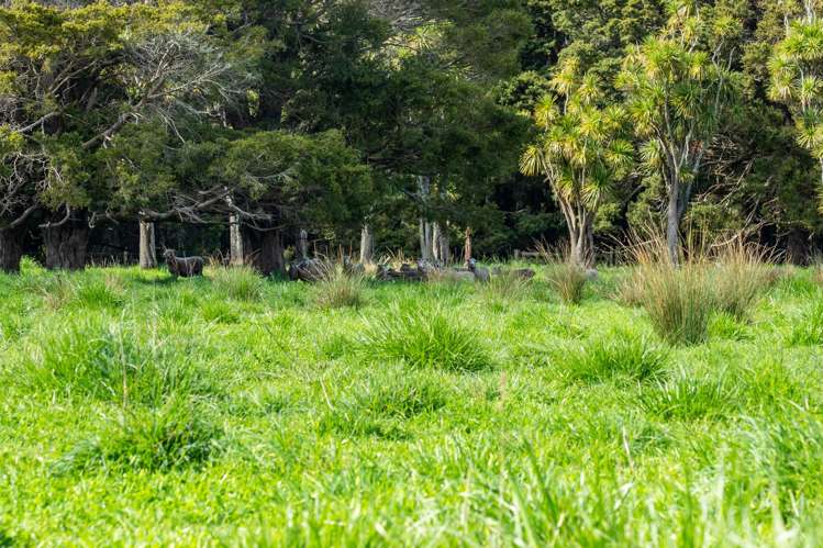 Porangahau Road Wallingford_14