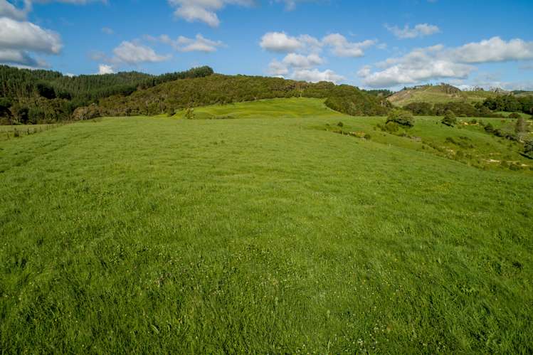 125 Wilson Road Hunua_15
