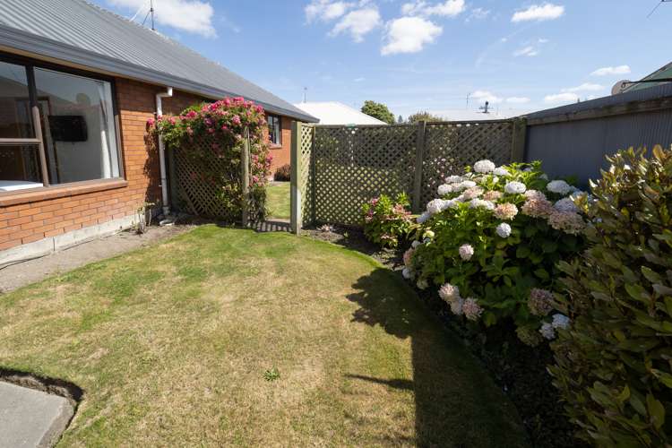 3/51 Peter Street Ashburton_19