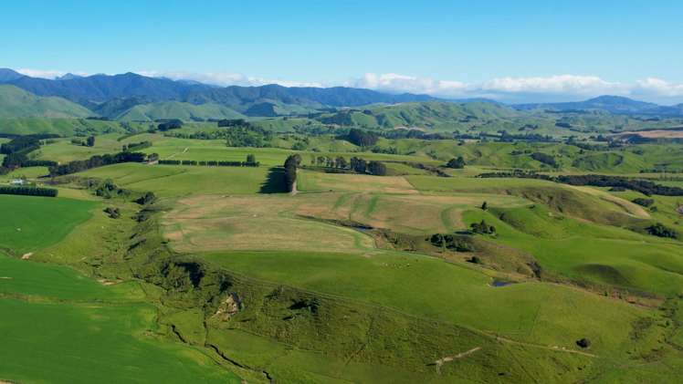 188 Burnetts Road Kaituna_18