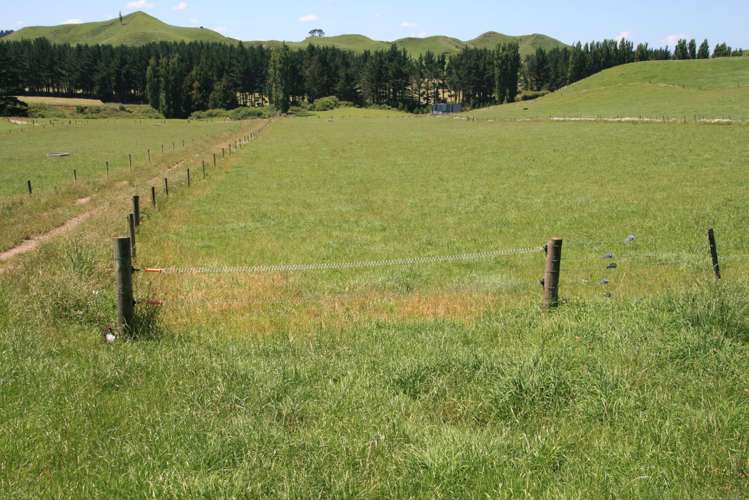 145 Bayly Road Huinga_14