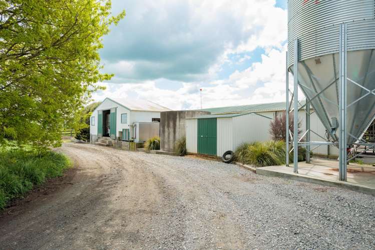 1001 Piako Road Gordonton_11