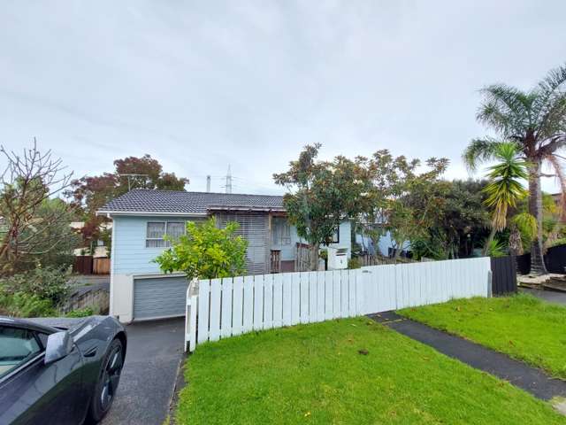 4 George Laurenson Lane Mount Roskill_1