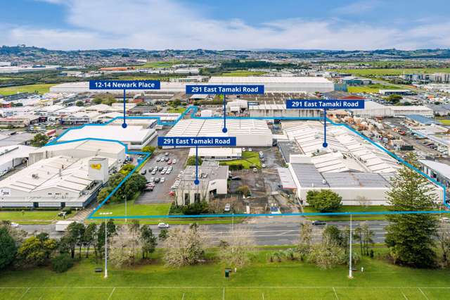 291 East Tamaki Road & 12-14 Newark Place Otara_1