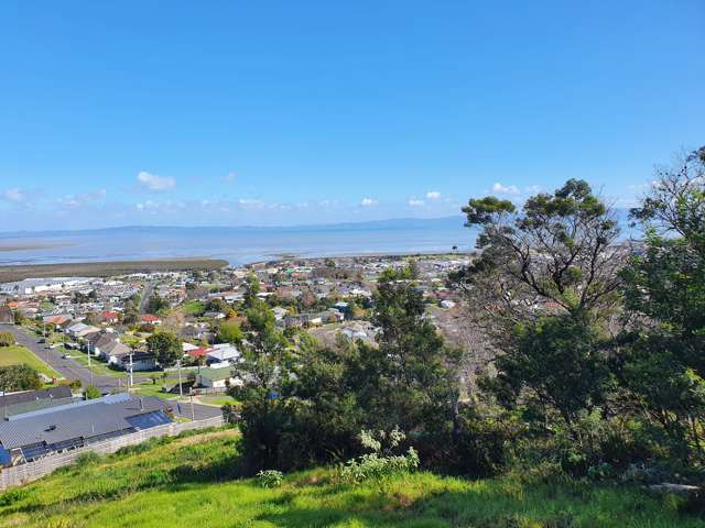 210 Hauraki Terrace Thames_1
