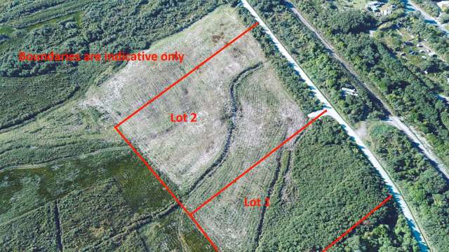 From paddock to possiblities