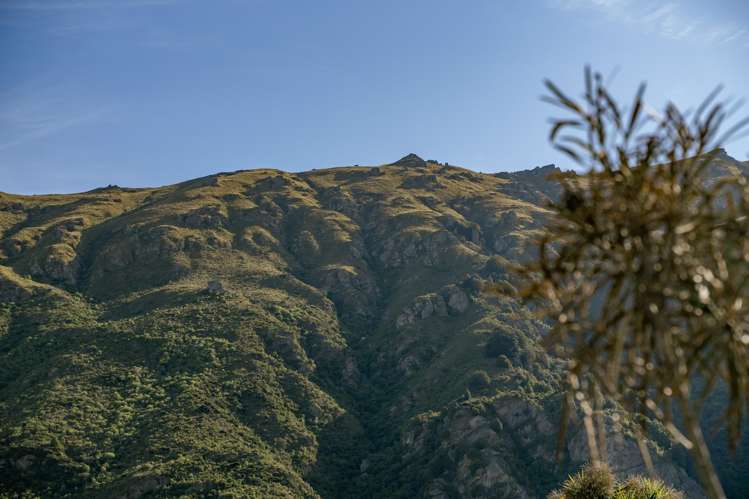 137 Kent Street Kingston_24