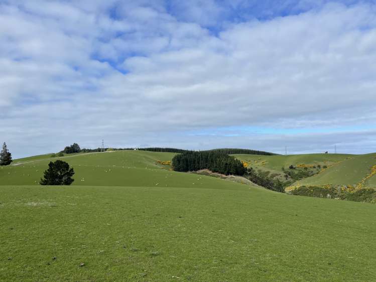 8 Munro Road Lawrence_11