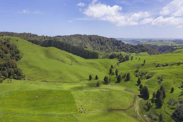 2140 State Highway 4 Aria_22