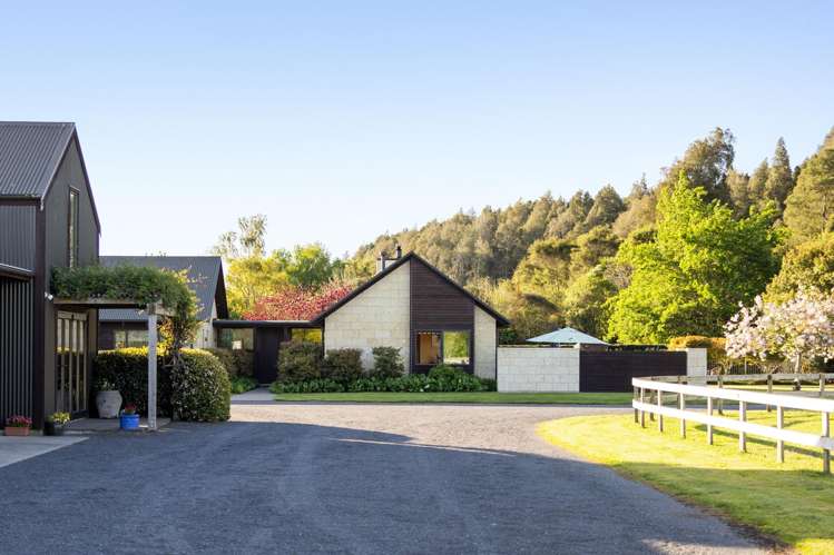 441C Marychurch Road Matangi_10