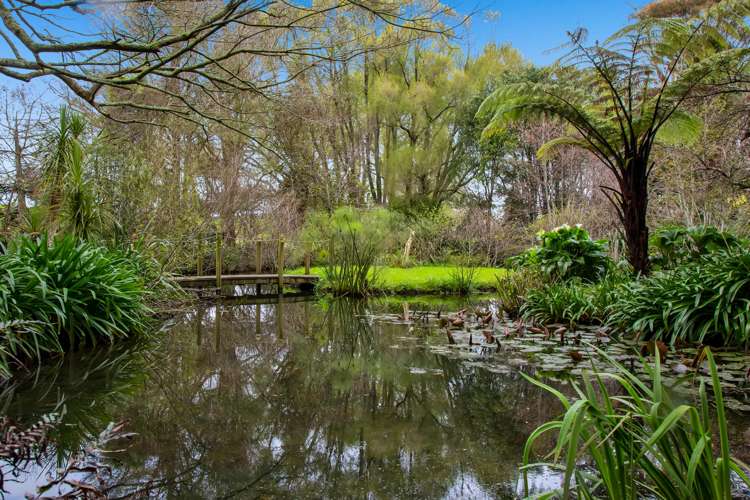 7 Richmond Road Waitara_22