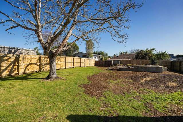 56 Eastdale Road Avondale_2