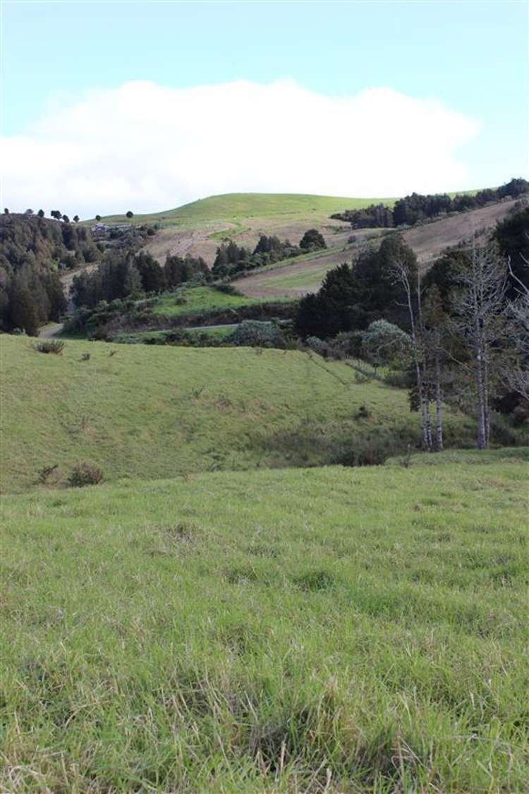 432 Prescott Road Ruakaka_7