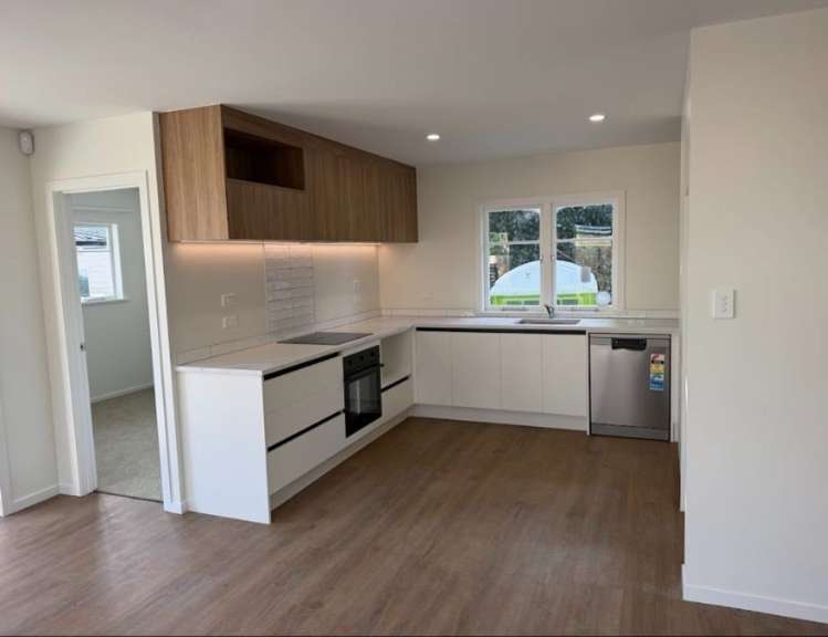 5a Levesque Street Birkdale_2