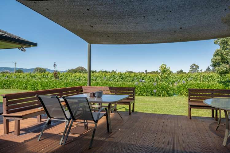 19 Terrace Road Renwick_36