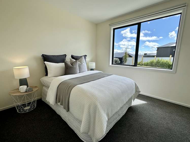 8 Chatham Rise Seaward Bush_24