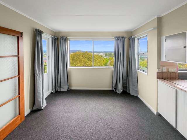 3 Windsor Terrace Feilding_3