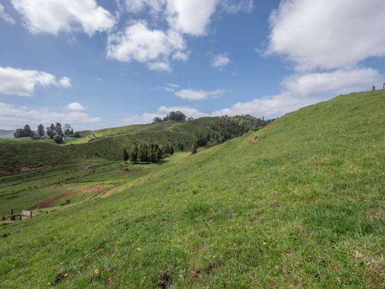 223 Coutts Road Marokopa_14