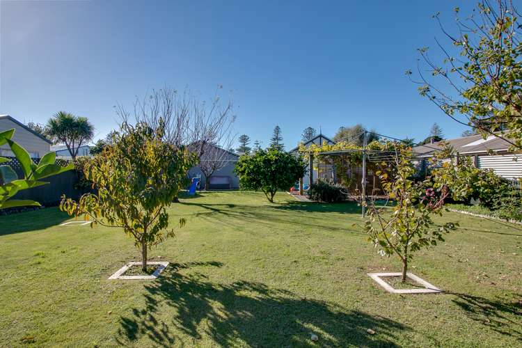 49 Mcgrath Street Napier South_25