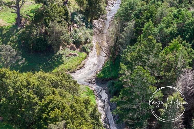 641 State Highway 1 Wellsford_34