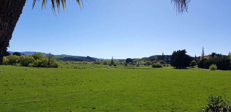 25 Browns Road Clinton and Surrounds_13