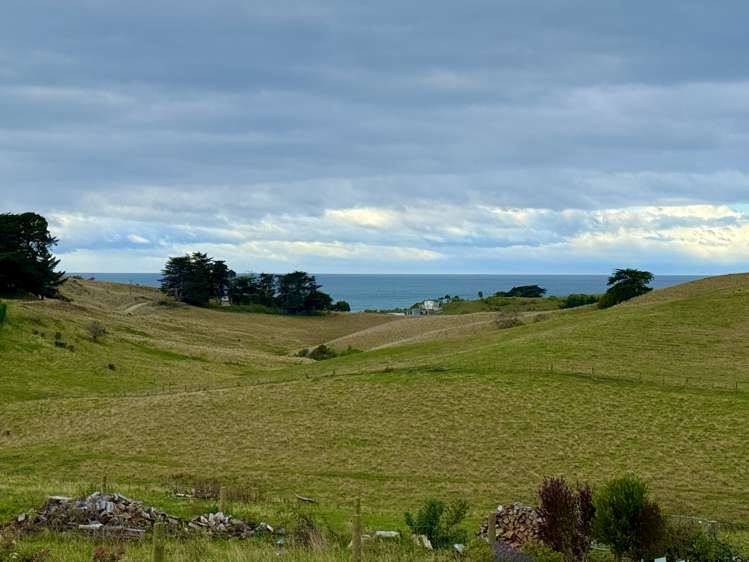 54a or 54b Tenby Moeraki_3