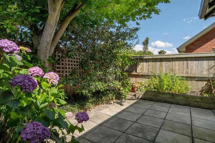 15 Ward Street Springlands_15