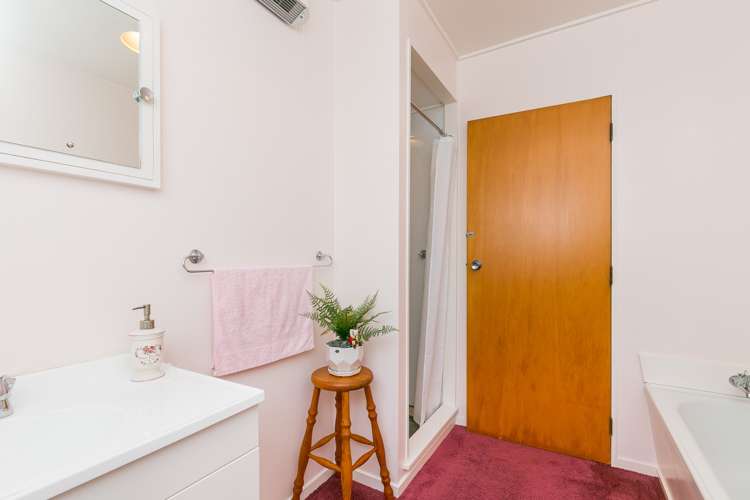 23c Rotherham Terrace Miramar_13