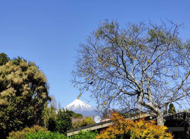 179 Govett Avenue Frankleigh Park_4