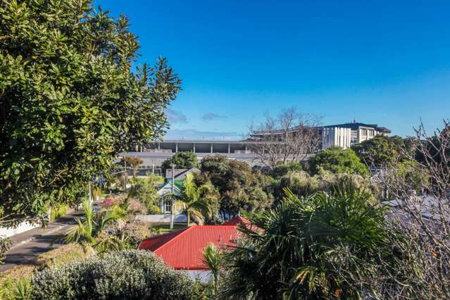 3 Raleigh Street Mount Eden_2