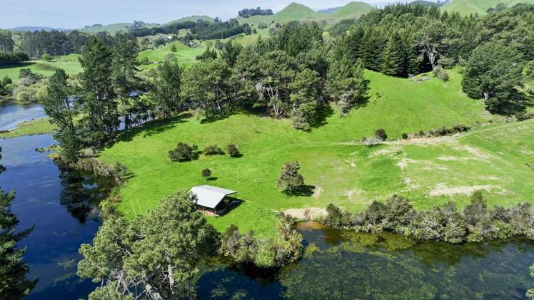 294b Dods Road Waikite Valley_13