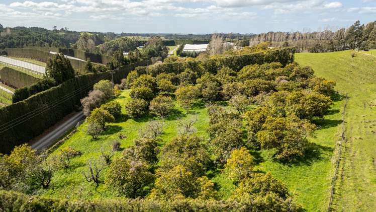 231 Walford Road Aongatete_20