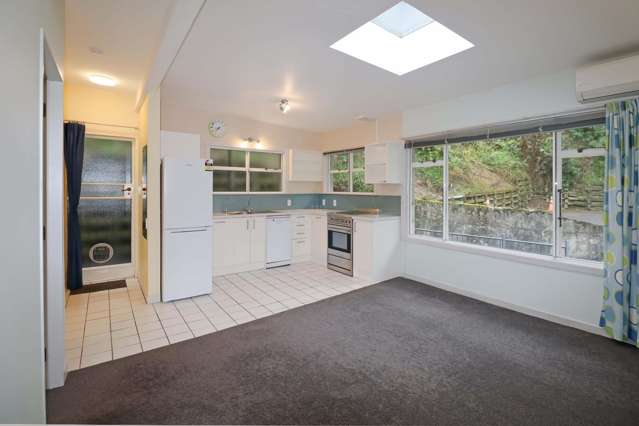 Charming 1 Bedroom Apartment in Aro Valley