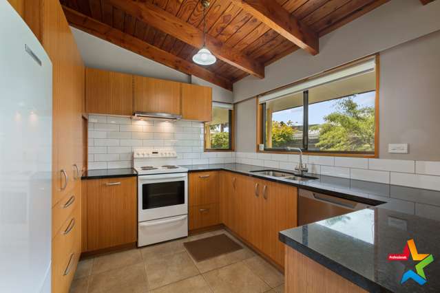 60 Parry Palm Avenue Waihi_1