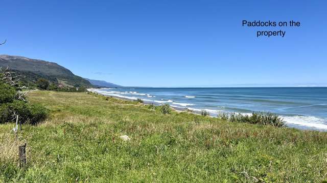 37 Nikau Road, State Highway 67 Hector_2