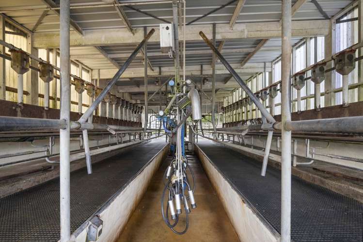 253 Cross Road Te Popo_7