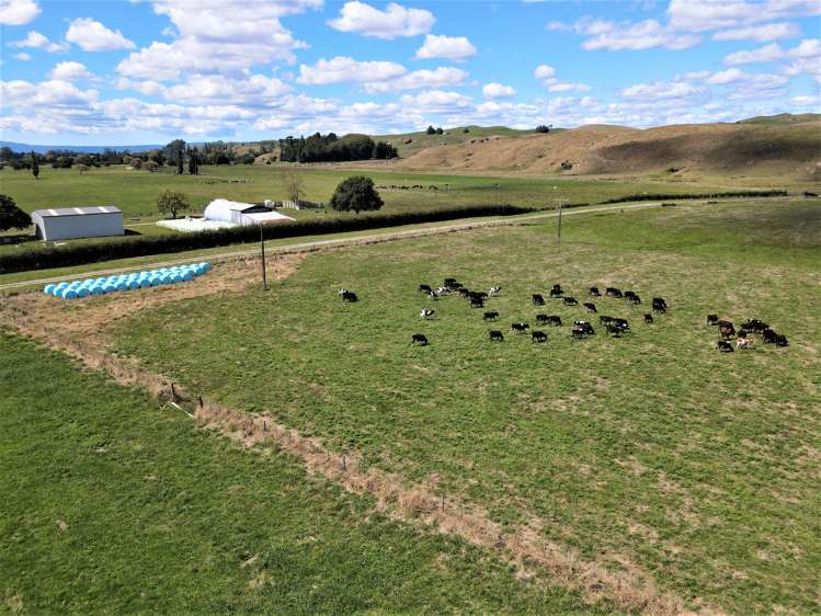 State Highway 29 Matamata_6