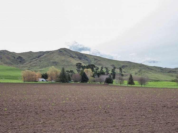 230 Taruna Road Hawarden_22