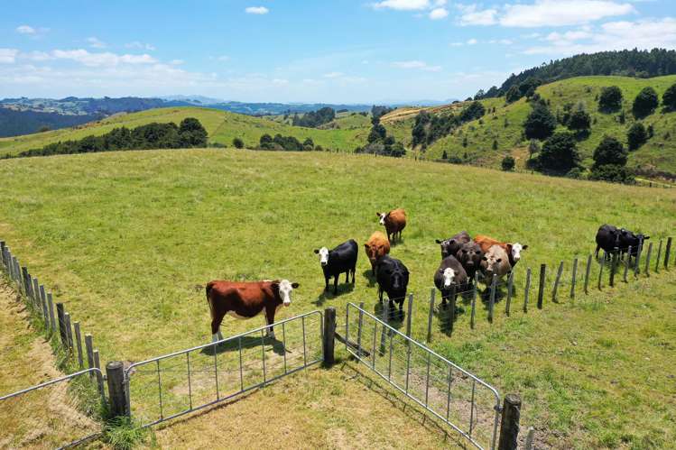 579 Ormiston Road Waipu_6