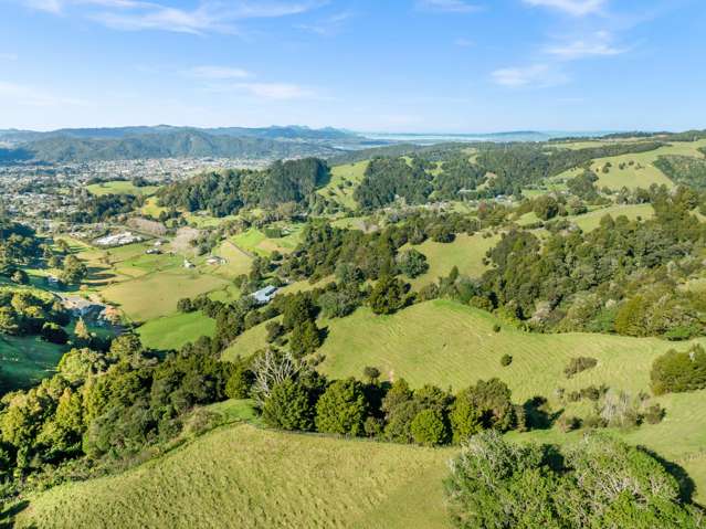 24 Bellwood Lane Te Kamo_4