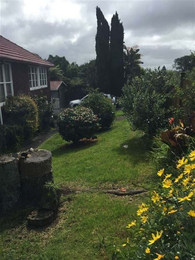 87 Hillsborough Road Hillsborough_1