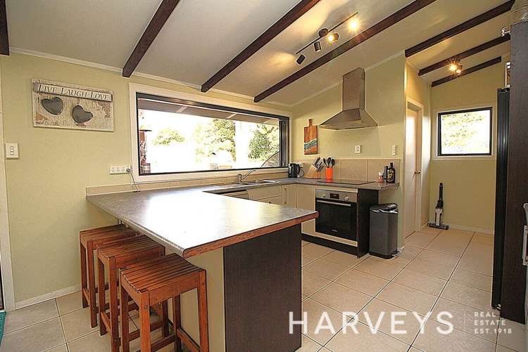 91 Waitakere Road Waitakere_12