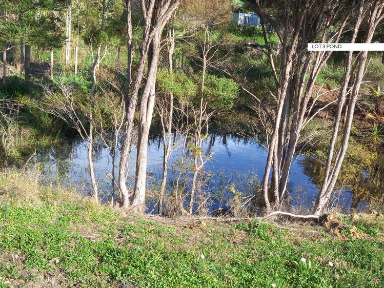 Kaiwaka-Mangawhai Road Kaiwaka_9