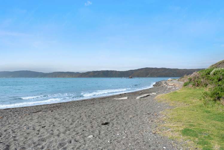 11 Hector Street Seatoun_15