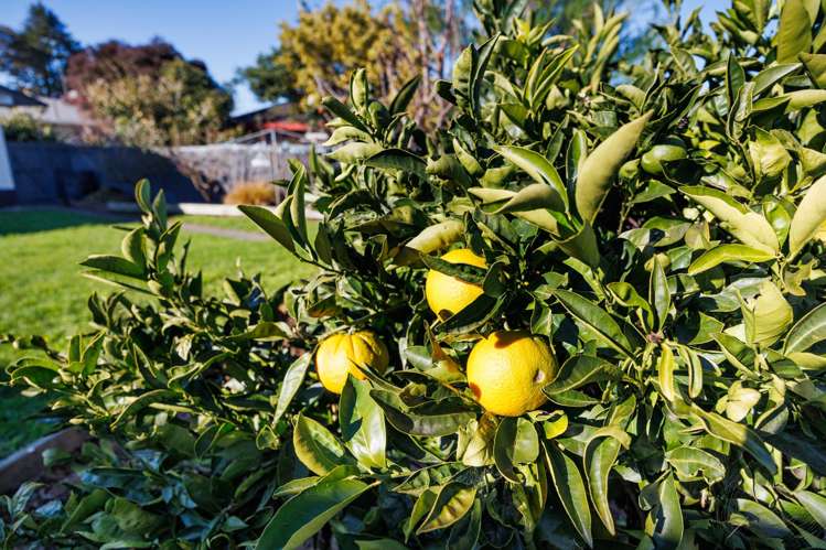 108 Derby Street Feilding_21